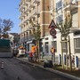 Nuovi ciliegi da fiore in piazza Paietta