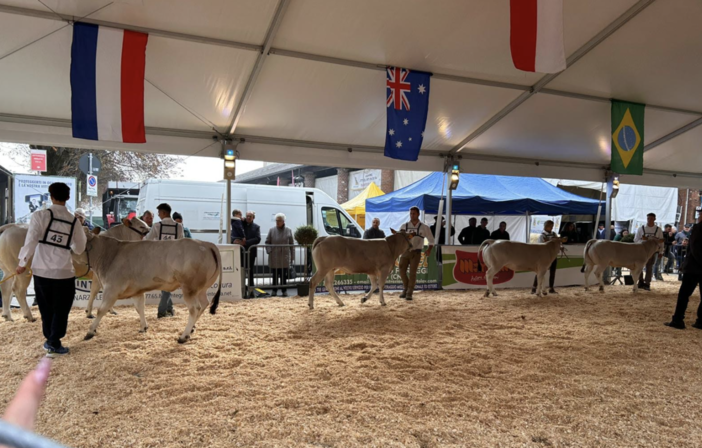 Quarte e quinte dell'Agrario alla “Mostra Nazionale dei Bovini di Razza Piemontese”