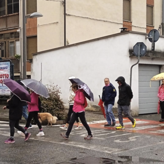 Cigliano, la camminata d'autunno