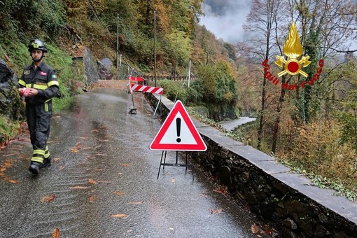 Maltempo a Varallo, albero caduto trancia i cavi telefonici