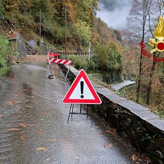 Maltempo a Varallo, albero caduto trancia i cavi telefonici