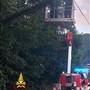 Alberi pericolanti in Valsesia, serata di lavoro per i Vigili del fuoco