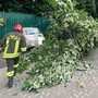 Grandinata e danni a Borgosesia, cade un albero e centra tre vetture