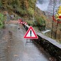 Maltempo a Varallo, albero caduto trancia i cavi telefonici