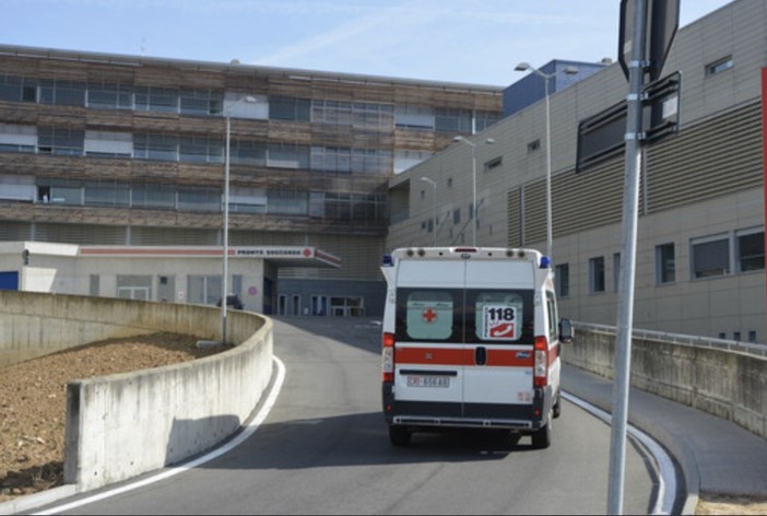 Morsicato alla testa da un cane, bimbo di 8 anni grave in ospedale