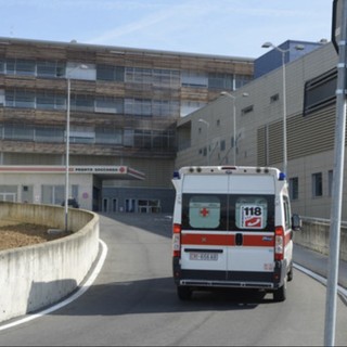 Morsicato alla testa da un cane, bimbo di 8 anni grave in ospedale