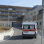 Morsicato alla testa da un cane, bimbo di 8 anni grave in ospedale