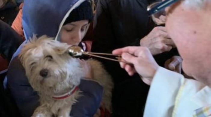 Festa di Sant'Antonio Abate: benedizione del pane e degli animali