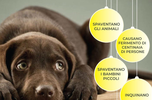 Appello contro i botti e nuovi servizi per il benessere animale