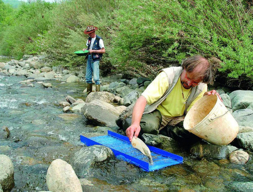 Sulle tracce dell'oro: la nuova corsa al torrente Orco