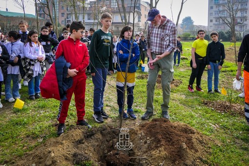 Nuove piante a dimora nel bosco parco della media Pertini