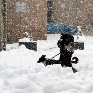 Gelo polare e neve a bassa quota, ecco i giorni più freddi dell'anno